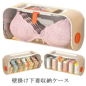 下着 収納 ケース ブラジャー 靴下 引き出し 壁掛け ソックス 壁掛け収納 仕切り付き クローゼット 収納 省スペース ウォールポケット 小物整理 大容量 透明 可愛い インナー ボックス 汚れ