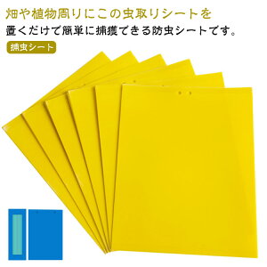 nG莆 SV[g y50Zbgz RoG RoG Sgbv S}bg QߊlS  悯 ߒV[g ʔS ߒ ߒV[g Q΍pi OΉ Q 쏜