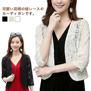 [X {   H  J[fBK WPbg gbvX [X i  30 ~ZX 50 [X 20 tH[} 40 t  HD ~ fB[X ̌^Jo[ t@bV 