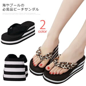 r[`T_ fB[X  y gOT_ ~ ₷ q[ EFbW\[ C ɂȂ W[p Sn ̎q p Sn wlC r r 