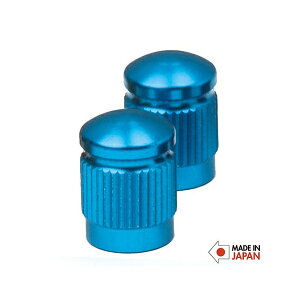 �G�C�A���h�G�t A&F �A���~�o���u�L���b�v �Ď� �u���[ [���]�ԗp][00800029110000]