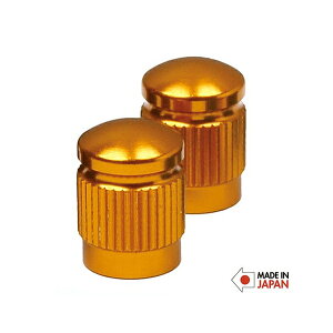 �G�C�A���h�G�t A&F �A���~�o���u�L���b�v �Ď� �S�[���h [���]�ԗp][00800029114000]