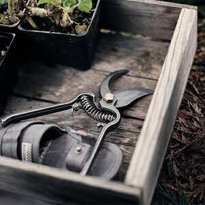 �x�A�[�{�[���Y���r���O Barebones Living ���^���v���[�i�[