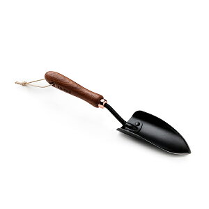 �x�A�[�{�[���Y���r���O Barebones Living �X�y�[�h �E�H�[���i�b�g