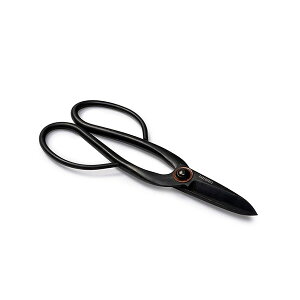 �x�A�[�{�[���Y���r���O Barebones Living �A�[�e�B�V���� �V�A�[ L