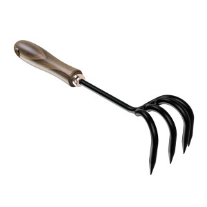 �x�A�[�{�[���Y���r���O Barebones Living �J���`�x�[�^�[ [20232020000000]