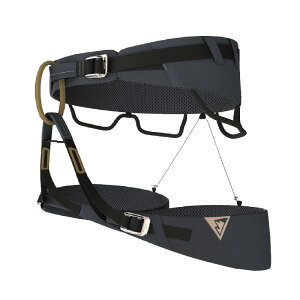 �u���[�A�C�X blue ice �N�G�X�^ �A�W���X�g �C���f�B�A�C���N [100311]