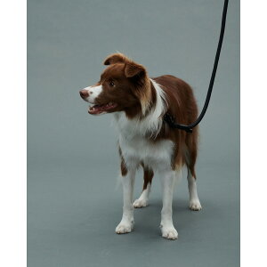 O gris THE LEASH PEAT BLACK 130cm [GCL222101312]