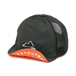 �}�C���X�g�[�� milestone MSC-017 �`���R�[���O���[