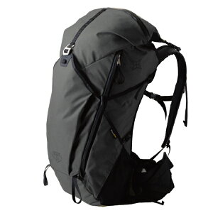 p[S[NX PaaGoWORKS ofB33 A[oO[ [HP203UGR buddy33 obNpbN bN nCLO oR][Az]