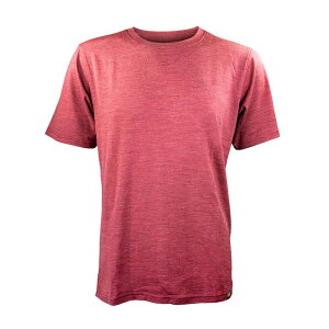 �|�C���g�V�b�N�X Point6 Ms Alpine Extra FineMerino Wool Tee Rust [P66000]