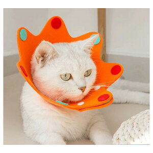 [Z[] eB~[nEX TimmyHouse ybgp GUxXJ[ y \ L  p ی IW 5101