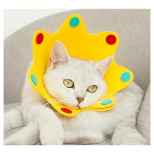 [Z[] eB~[nEX TimmyHouse ybgp GUxXJ[ y \ L  p ی  5101