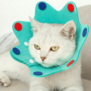 [Z[] eB~[nEX TimmyHouse ybgp GUxXJ[ y \ L  p ی  5101