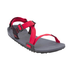 �[���V���[�Y Xero Shoes �L�b�Y Z�g���C�� ���[�X / Kids Z-TRAIL YOUTH Charcoal/Pepper [TRY-CHRP-Y12 �q���p �T���_��]