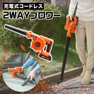 u[ [d  ^ GA_X^[ R[hX nfB- 2WAY t@~yr[eŃv[giz