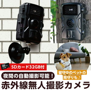 hƐԊOJ SDJ[h32Gt HsvOt ZT[m drhƃJ lBe R[hX ԎBe h ho ^ ϑ Qb΍ erVbsOi y