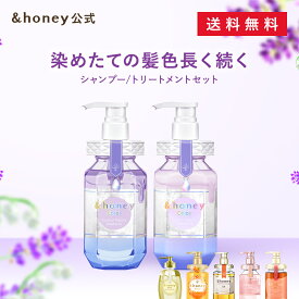 Max500円OFF 4日20:00～【公式】&honey アンドハニー シャンプー トリートメント セット ボトル メンズ ハチミツ オーガニック ダメージケア うねり 乾燥 広がり 保湿 モロッカンオイル アルガンオイル コンディショナー 正規品保証 プレゼント ギフトセット 440mL 445g 2点