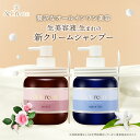 ＼ &honey 開発チーム監修／【公式】 &Cream アンドクリーム シャンプー オールインワン トリートメント不要 保湿 ハリコシ モイスト スムース
