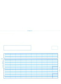 【全国送料無料!!】ピーシーエー　PCAサプライPA1119G単票紙給与明細書単票D（罫線つき）500枚