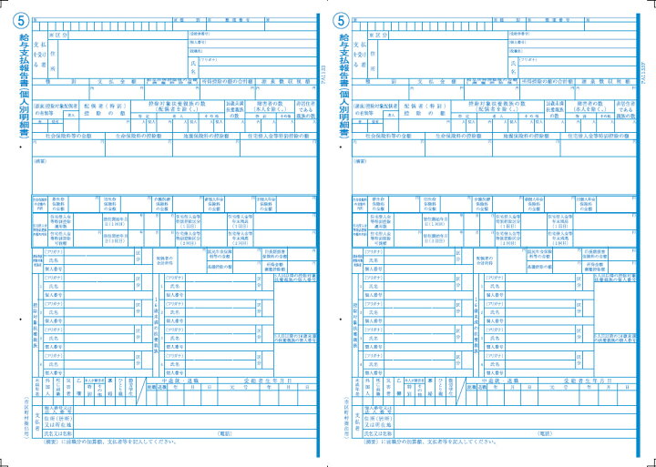 ピーシーエー PCAサプライ PA133F R04(800名入)<br>令和4年分 源泉徴収票(令和5年1月提出) 連続用紙ドットプリンタ用 PCソフト | alutec.mx