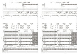 ピーシーエー PCAサプライ PA1134GA R06 電子申告源泉徴収票（100名入）単票用紙レーザープリンタ用