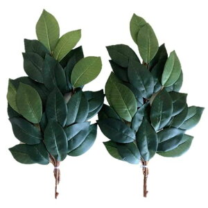 Ԃ͂ȂyԍzNo.33_Ig݃TJLTCY28cm2Zbg(12{gp)sakaki-33