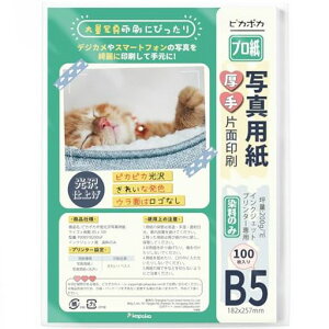 sJ|Jʐ^pB5100CNWFbgʐ^vgp200GSM