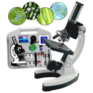 qwq100~1200{̎qpwSҌy{tzpጰRpċxݏwv[gזE̎qpc