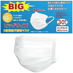 }XN傫ߕsDzYɂȂȂrbOTCY}XN傫ȃ}XN3XLrbO}XN(1)