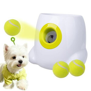 AllForPaws{[`[Ꭹ{[p{sb`ˋ3iK\{[Lb`p̃~jejX{[3t^~^pmߋ