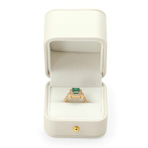 PaptenwփP[Xv|[YOP[X^у~jPUU[1pLOwփv[gȂǂɓKH15301(x[W)