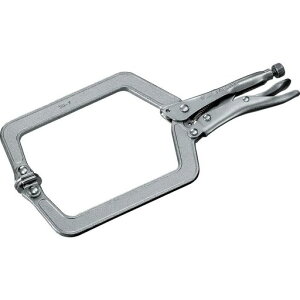 ���u�e�b�N�X(�G�r)�o�C�X�v���C��VC-225S