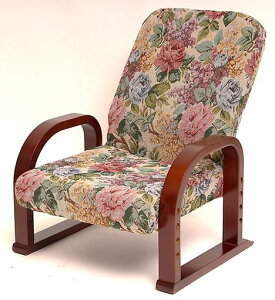 r[^(Vita)胉NN֎q55Xs47~67X63~71cm~h^CvSuԕ\3iKNCjO܂肽݂肽ݐ܂ݗT|[g֎qI|c