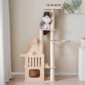 BTMLbg^[ؐL^[lR^[^155cmBƉFD܂Ƃ|[t^[^sqL^L