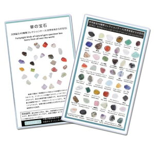 Atibinǂz΍zW{ZbgΕW{RNVVRΊΎqΐ}ӐE48포wv[g