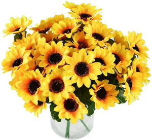 himsyudenЂ܂葢ԉԑ428{7{/lHϗtA͂ȂԐԂ݂Be̓jv[gItBXiXCeA(28{4)