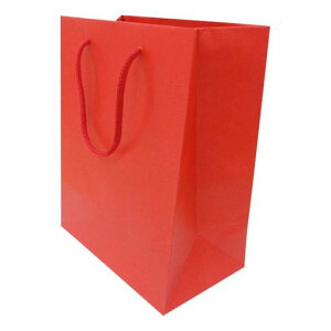 �G�q�����H�y�[�p�[�o�b�ONCRA-MS-R-10P��10����