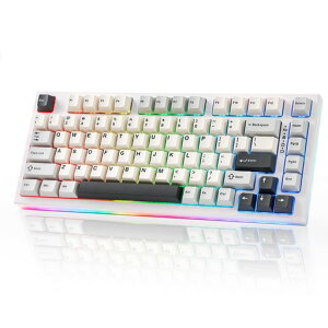 YUNZII RT80 82�L�[ ���s�b�h�g���K�[ �L�[�{�[�h �z�[���G�t�F�N�g ���C�����X ���J�j�J���L�[�{�[�h Bluetooth/2.4GHz/�L�� �Q�[�~���O ���C�X�C�b�` RGB �g���C�}�E���g �z�b�g�X���b�v �J�X�^�c