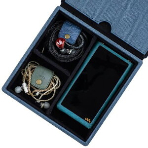�L�������O�P�[�X �C���z�� ���[ FiiO iBasso Sony Shanling HiBy Cayin Astell&Kern Questyle Earphone �p�AIEM �C���z�� +