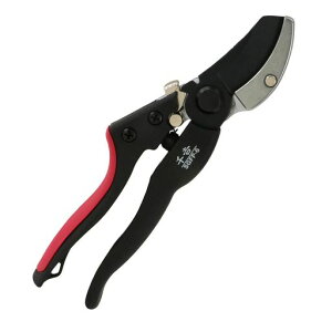 gOXt@Co[200mmChObv}SGFP-6