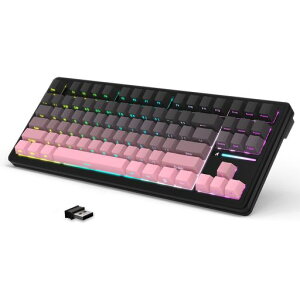MAMBASNAKE x ATTACK SHARK M87PROV2 80% 87�L�[ ���J�j�J���L�[�{�[�h �u���b�N�s���N