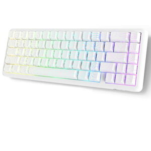 ATTACK SHARK X65HE���S�Ҍ������C�L�[�{�[�h�A8KHz�|�[�����O���[�g�A0.01mmRT���x�A���s�b�h�g���K�[�ASnap Tap
