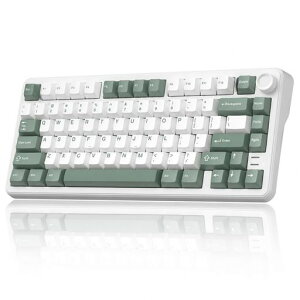 Womier L75 �L�[�{�[�h ���� ���J�j�J�� �e���L�[���X 75%�L�[�{�[�h �� �m�u�t�� �Q�[�~���O�L�[�{�[�h rgb �o�b�N���C�g