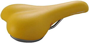 CYCLEPRO(TCNv)RtH[gGELTh[CP-SD3110]CG[480g