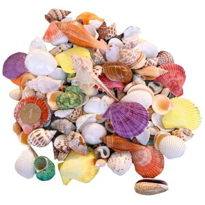 siawadekyJtLk500gA\[gZbgVRfރ~bNXr[`VF//A/htg{gr[`DIYpӏܗpWG[ANZT[p[c|pi