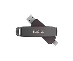 SDDDE1-1T00-JA46 �T���f�B�X�N �X���� �f���A�� �h���C�u �|�[�^�u��SSD 1TB
