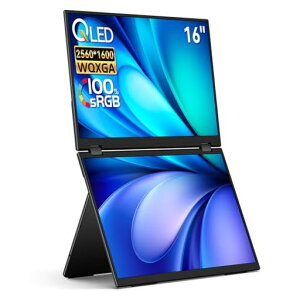 EHOMEWEI �f���A�����j�^�[ 16�C���` QLED 2.5K 2560x1600 �f���A���f�B�X�v���C �܂肽���� �~���[�����O �g�� ���^ 6mm XQ-160NW