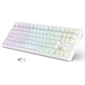 MAMBASNAKE x ATTACK SHARK M87PROV2 �Q�[�~���O�L�[�{�[�h 80% �R���p�N�g 3���[�h�ڑ� RGB �z���C�g