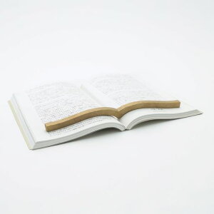 �R�N�������{�Ɋ��Y�������^�J��MKT-PW02